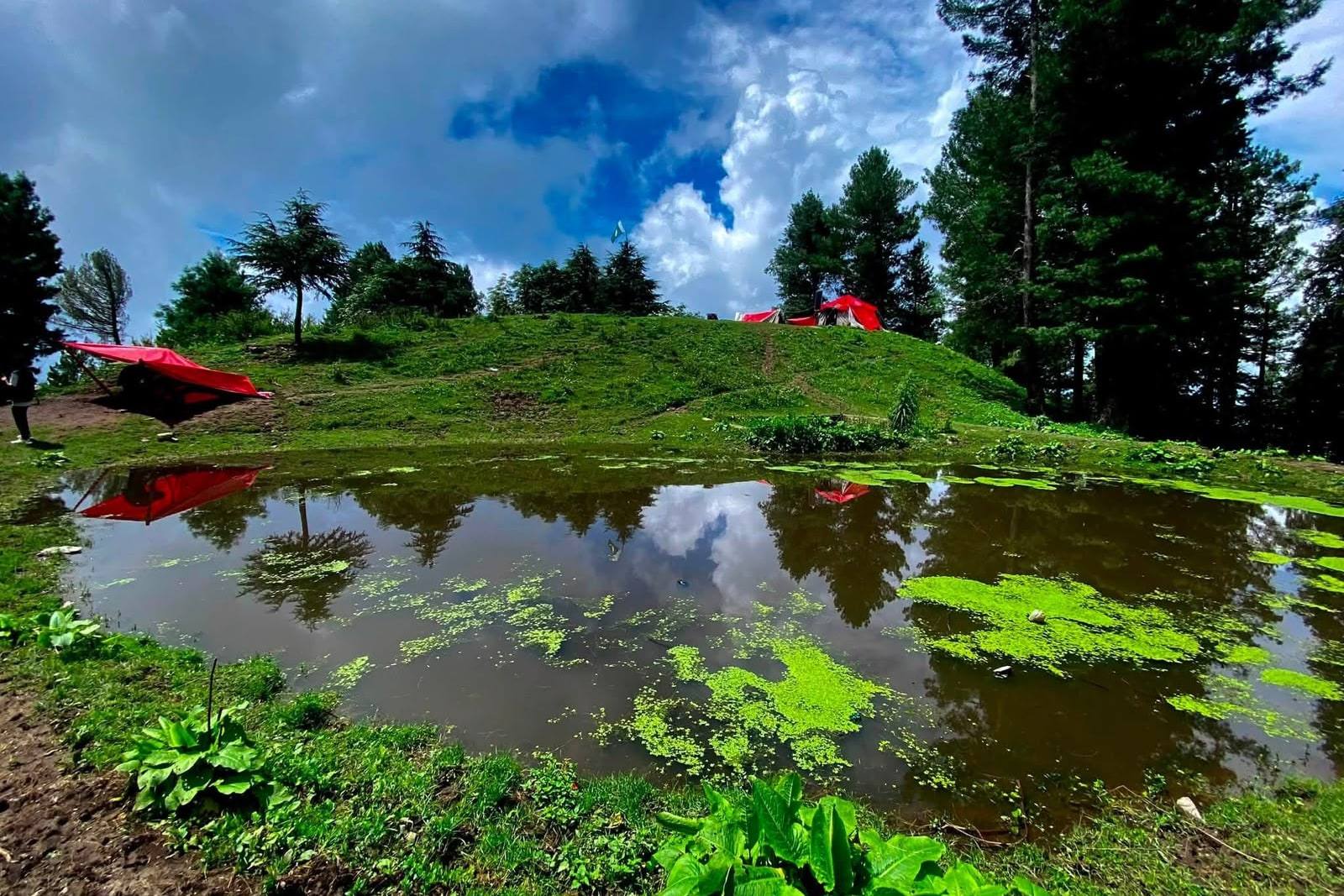 A hilltop camp with red tarpaulin shelters among cedar trees, mirrored in a still pool of water in the foreground