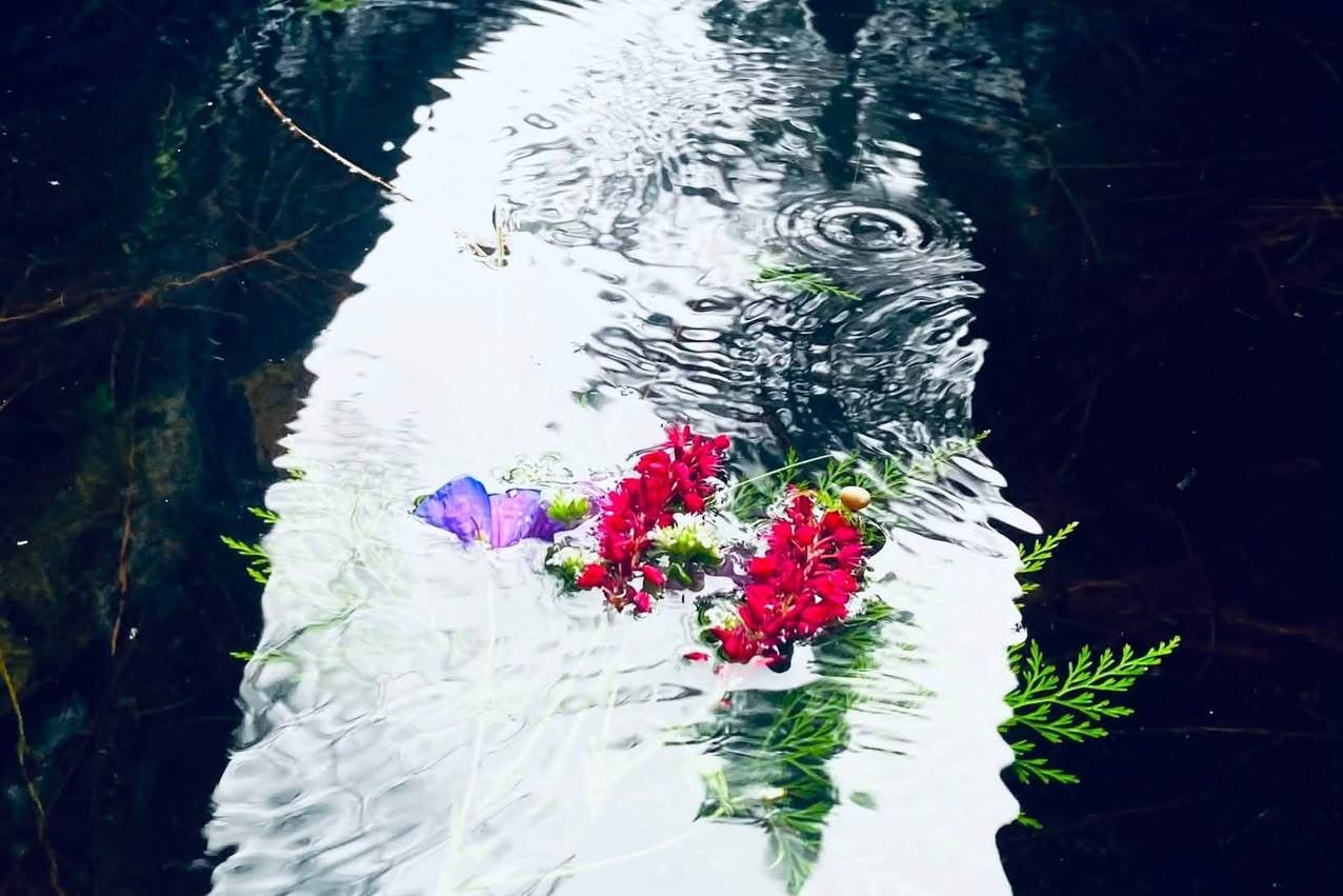 Crimson and blue wildflowers floating on the surface of a dark, slow-moving stream, with reflections of the sky in the water